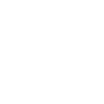 Toilet Leaks